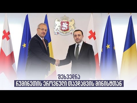შეხვედრა რუმინეთის ეროვნული თავდაცვის მინისტთან