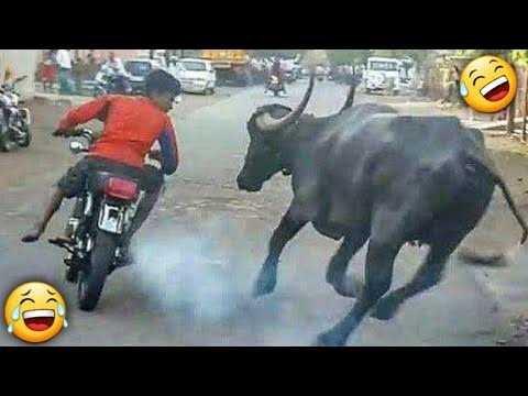 150 FUNNIEST Videos of 2026 😂 | Non-Stop Laughs From Start to Finish!