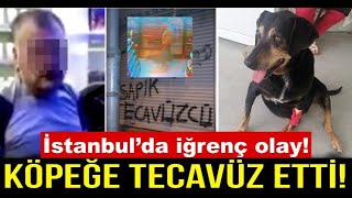 İstanbul'da Iğrenç Olay! Sokak Köpeğini Dükkana Götürüp Tecavüz Etti! İstanbul'da Iğrenç Olay! Sokak Köpeğini Dükkana Götürüp Tecavüz Etti!