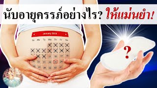 พัฒนาการตั้งครรภ์ : นับอายุครรภ์อย่างไรให้แม่น | คำนวณอายุครรภ์ | คนท้อง Everything