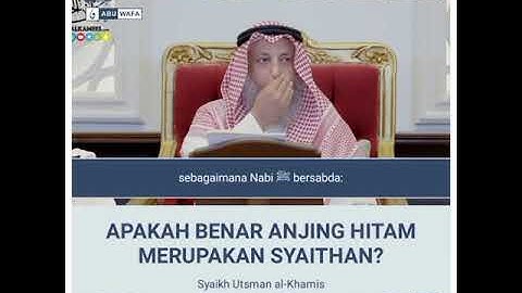 APAKAH BENAR ANJING HITAM ITU SETAN?? #expemudatersesat #hijrah #sunnah