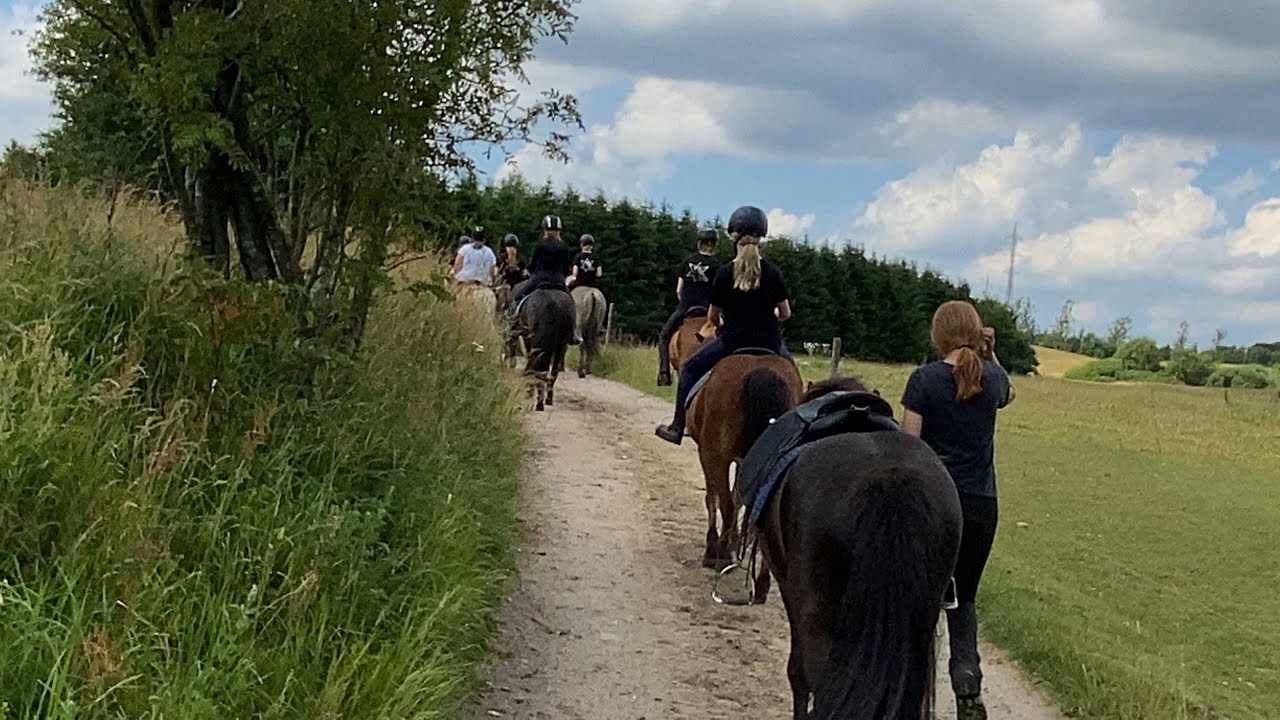 RIDELEJR VLOG - islandske heste