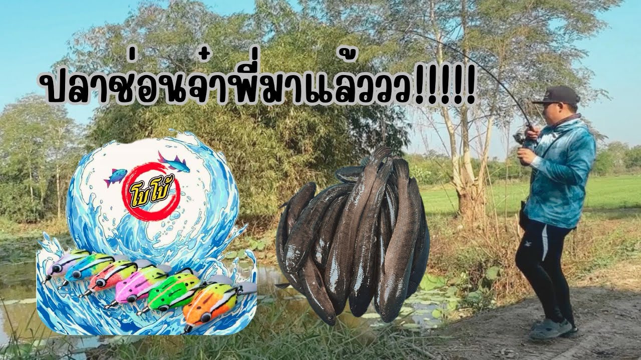 (EP.18) ปลาช่อนจ๋าพี่มาแล้ว!!!!!