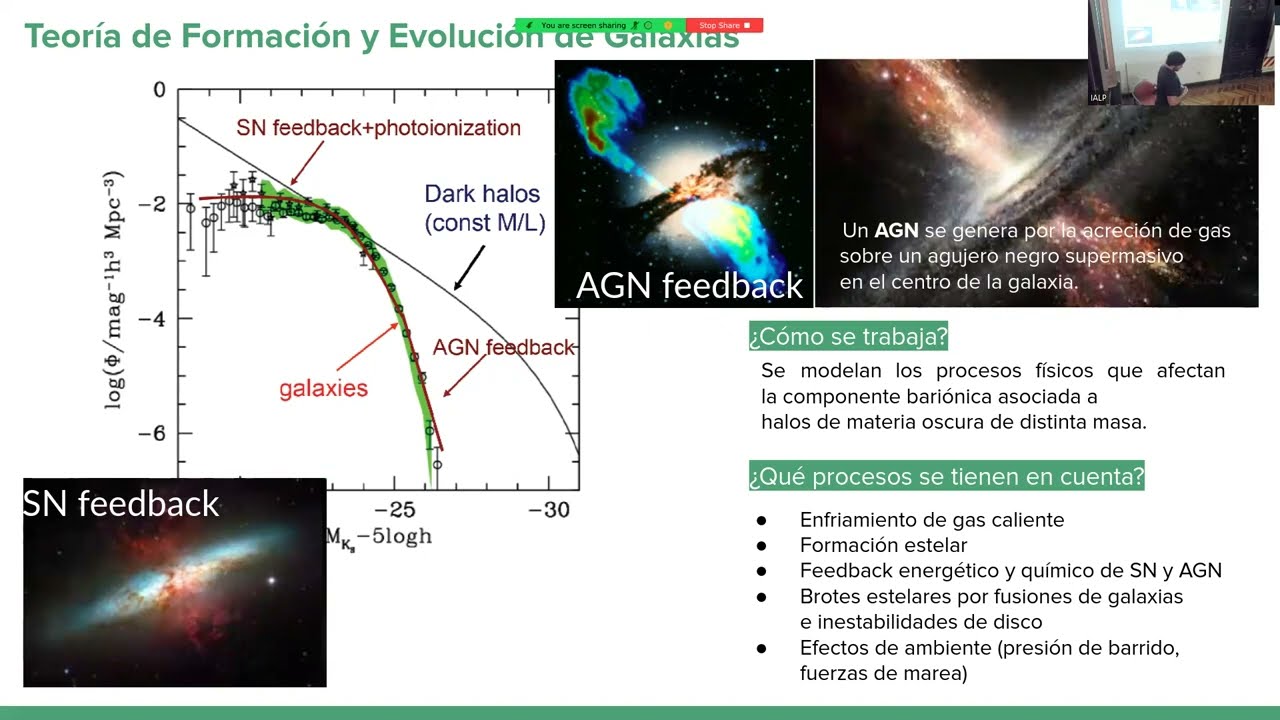 Sistemas Estelares: Observaciones y Simulaciones - Jornadas Científicas IALP