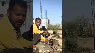 आज कंपनी बाग में एक गो माता को पीछे के साइट में बहुत था #animals #help #cow #gaumata