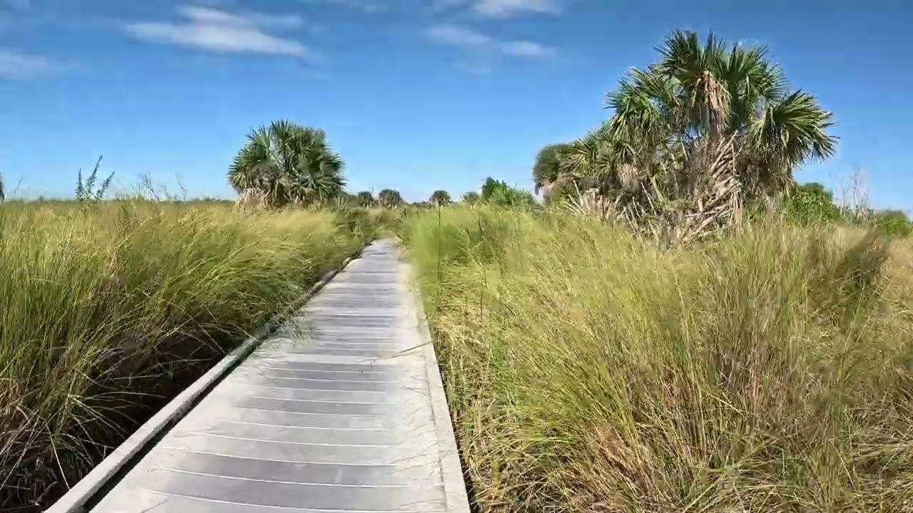 Bailey Tract - 11/01/25 - 4K