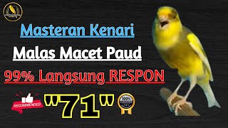 kenari gacor panjang pancingan kenari paud belajar bunyi dan masteran burung kenari 71 screenshot 2