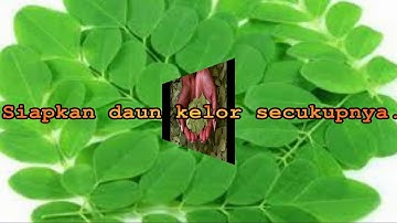 Mengobati Penyakit Asam Urat Dengan Daun Kelor