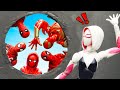 Gwen Stacy Cheating Spider-man and Spider-Iron | Figure Stop Motion