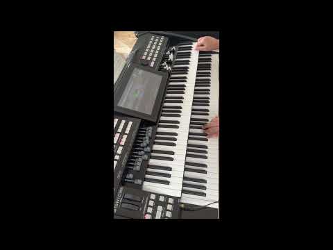 Linda - The Ace Cats - Wersi Sonic Organ Cover