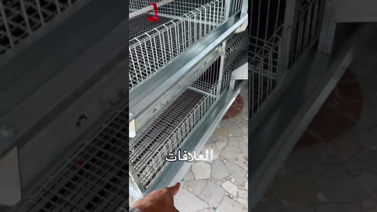 الفرق بين انواع بطاريات الدواجن التسمين . الفردى لبطاريات الدواجن 01124661920