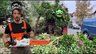 Removal Of Tree KILLED Off By OVERGROWN Ivy | Battery Stihl Chainsaw Doing The Business