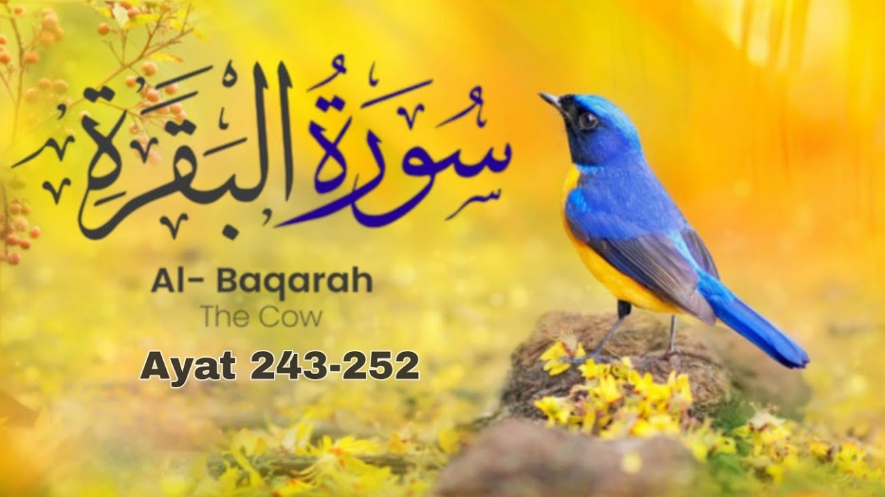 Surah Al Baqarah Quick Recitation Muhammad Saqib surah-al-baqarah-quick-recitation-muhammad-saqib