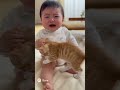 泣いている赤ちゃんを心配する子猫🐱