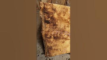 Silver maple burl. Orcedar.com