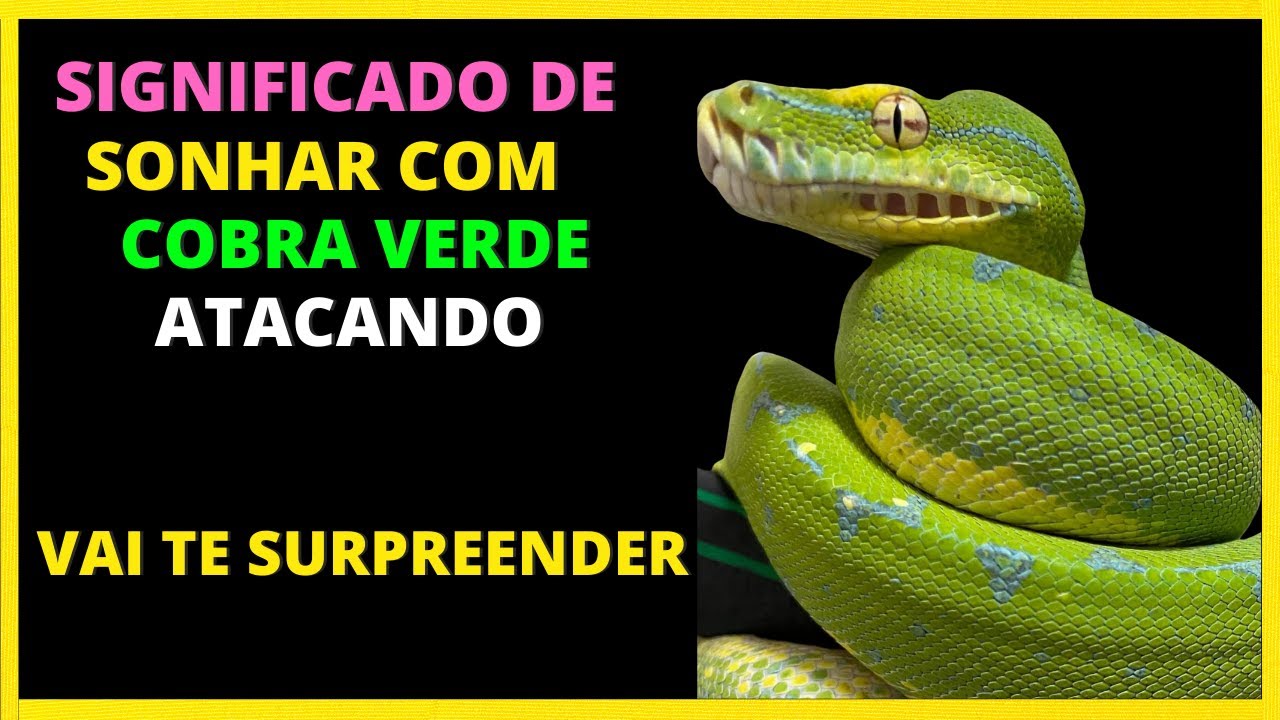 significado-de-sonhar-com-cobra-verde-atacando-vai-te-surpreender