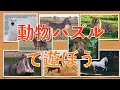 【動物シリーズ】動物パズルで子供の集中力と思考力を育てよう！（知育動画）