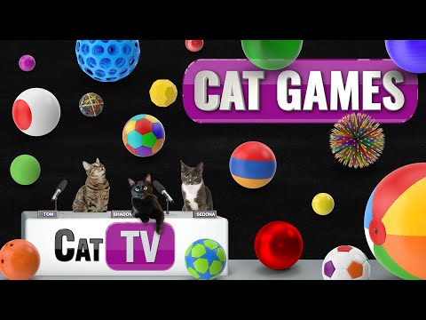 CAT Games | Ultimate Ball Bonanza: 70+ Balls with Fun Sound Effects! ⚽🔵🏀⚾🎾🔴🟣 | Dog TV