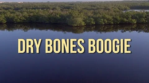 Avner Boskey  Dry Bones Boogie