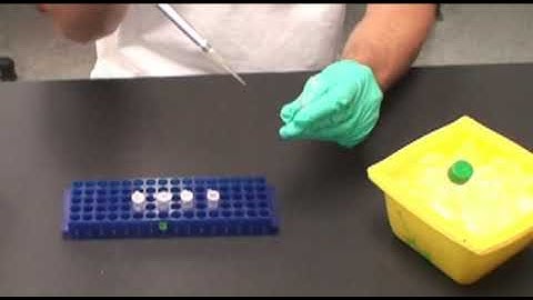 Serial Dilutions
