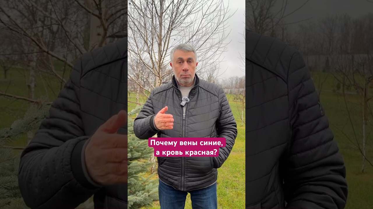 Почему вены синие, а кровь красная?