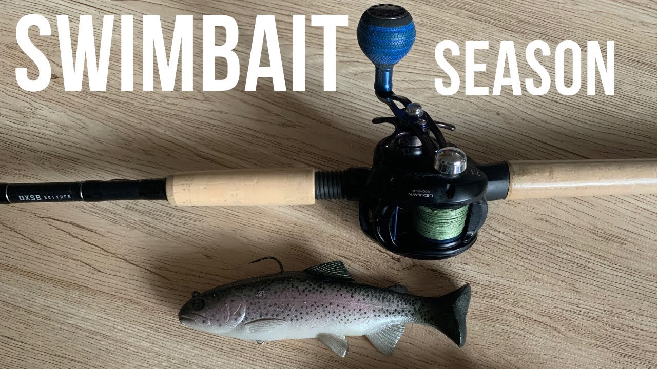Gear NEEDED for SWIMBAITS?