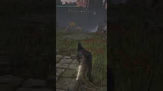 Weirdest Weapons In Elden Ring Part 28