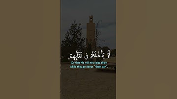 تلاوة خاشعة الشيخ خالد الجليل #quran #خالد_الجليل #قرآن #2000subscribers #ارح_سمعك #تلاوة_خاشعة #fyp