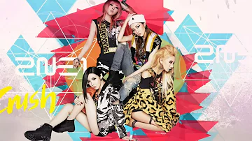 2NE1 - FIRE Live Stage Mix (2NE1 in 1 Compilation)