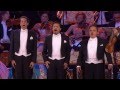Miniature de la vidéo de la chanson Nessun Dorma