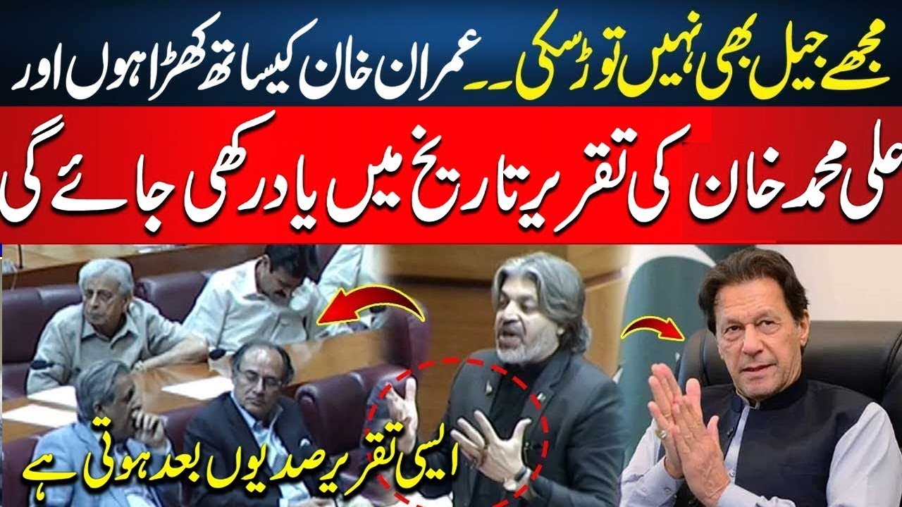 Ali Muhammad Khan's Powerful Speech: "I Stand With Imran Khan!"