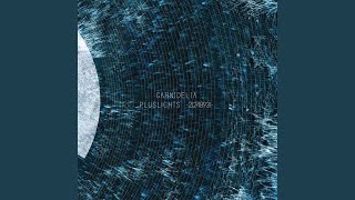 Asteroid (Petal  of  platycodon Remix)