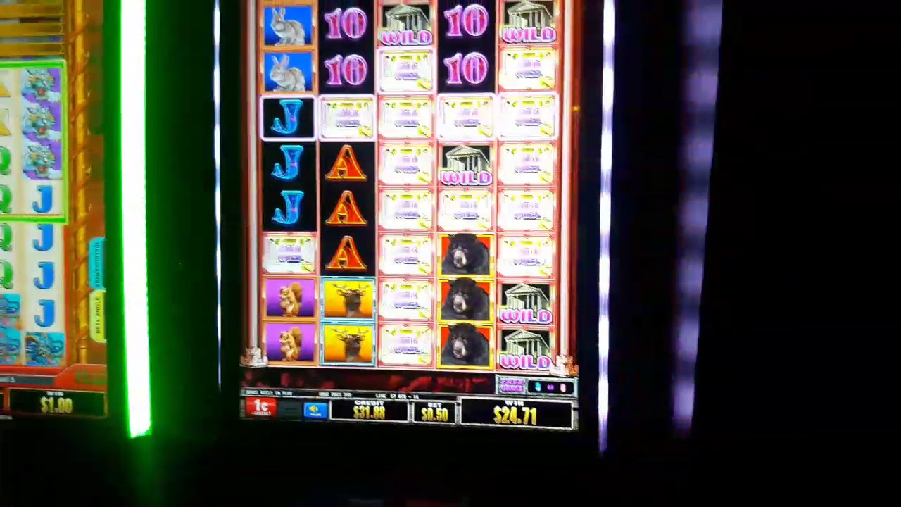 Slot Machines At Golden Nugget Lake Charles