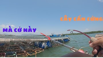 188/ Câu Cá Tráp ( Hanh ) ở VŨNG TÀU thì lúc nào cũng có , mà ít khi được cá to , HÔM nay được nha