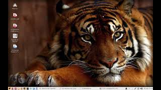 Tiger OS 21 RC (GNU/Linux) - visão geral do sistema