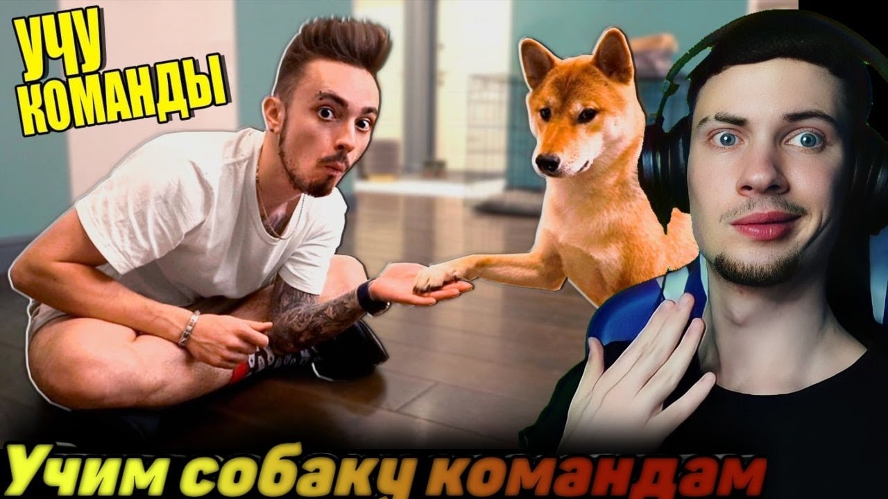 Эдисон птс дзен