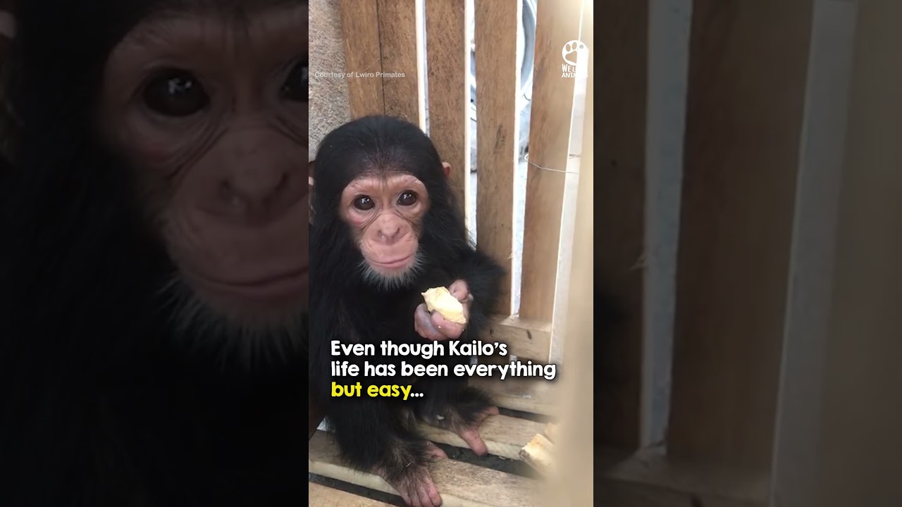 That hug though 🥹