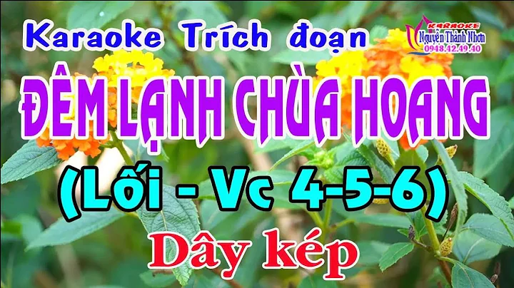 Karaoke trích đoạn ĐÊM LẠNH CHÙA HOANG (CAO NGUYÊN BÌNH) - DÂY KÉP