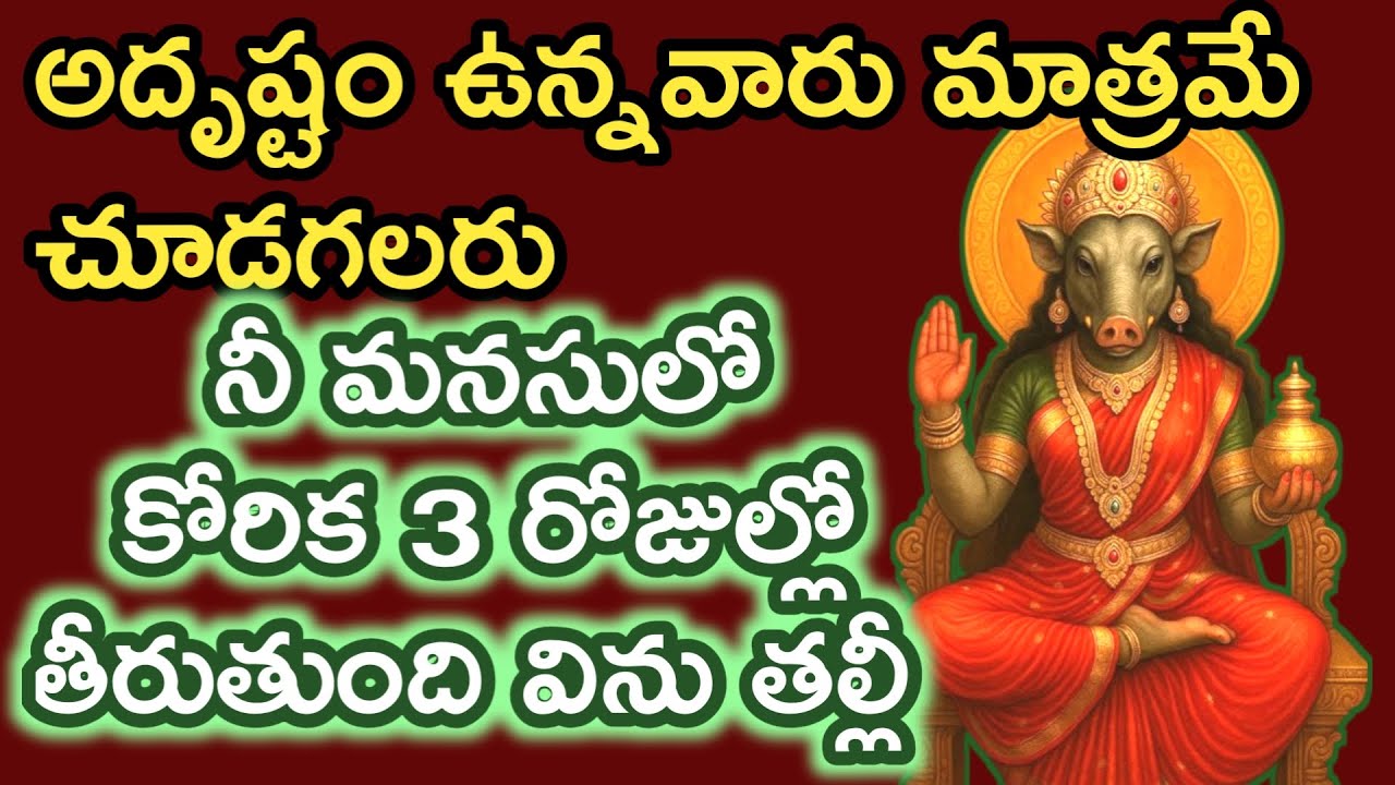 తల్లీ నీకోరిక 3రోజుల్లో తీరుతుంది బిడ్డా అమ్మ మాట విను తల్లీ |varahidevi vaakku 
