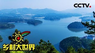 《乡村大世界》家乡:安徽·怀宁 20180707 | CCTV农业