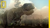 microraptor planet dinosaur