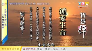 鍾愛生命 媽祖的叮嚀 - YDM智慧禪 20210106