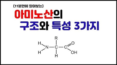 [거대분자] 3.9 단백질 - 아미노산의 구조와 특성 3가지