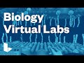 Engaging With Biology Through Virtual Lab Experiences