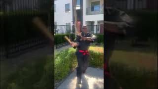 The last dragon #dragons #motivationshorts #shorts
