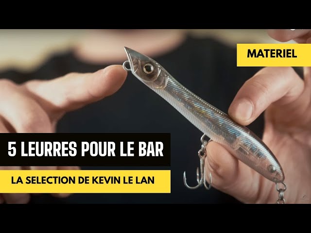 Pêcher en mer: comment choisir et utiliser un leurre ? Poisson nageur bord