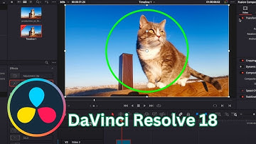 Draw Circle on Video in Davinci Resolve 18 | Davinci Resolve 18 Tutorials (2023)