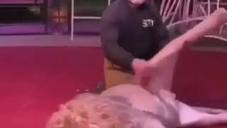 Fatih Terim Yaparsın Montaj