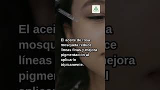 Terapias alternativas para prevenir arrugas