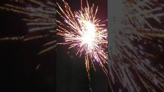 Fireworks 5x Titanium willows